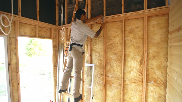 Trusted Telford, TN Insulation Experts