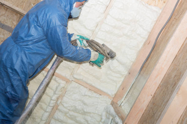 Best Insulation for New Construction  in Telford, TN