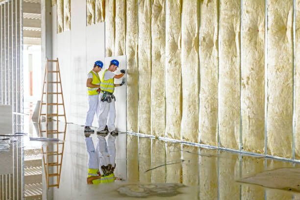 Best Attic Insulation Installation  in Telford, TN